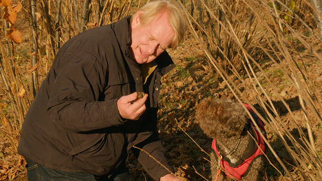 Bill Farmer - It's A Dog's Life - Film