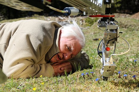 David Attenborough - A természeti világ - Attenborough hangyahegye - Filmfotók