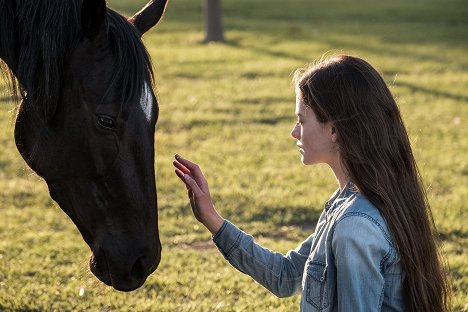 Mackenzie Foy - Černá kráska - Z filmu