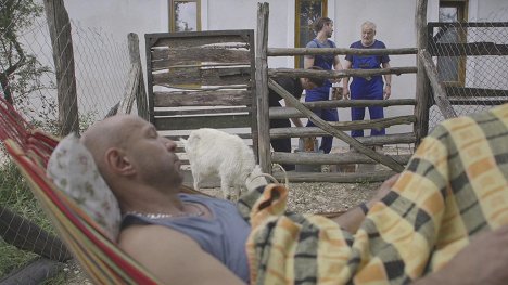 Ferenc Lengyel, Frigyes Kovács - Drága örökösök - Tibi csapdája - Film