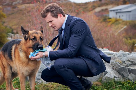 Diesel vom Burgimwald a kutya, John Reardon - Rex Kanadában - Magányos szívek klubja - Filmfotók