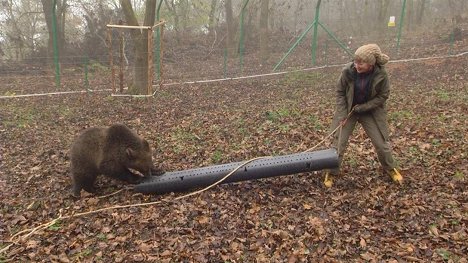 Grit Paulussen - Paula und die wilden Tiere - Bärengeschwister (5): Bärenabschied - Z filmu