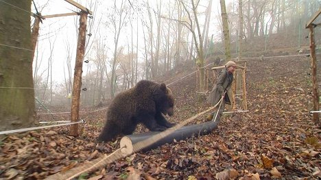 Grit Paulussen - Paula und die wilden Tiere - Bärengeschwister (5): Bärenabschied - Photos