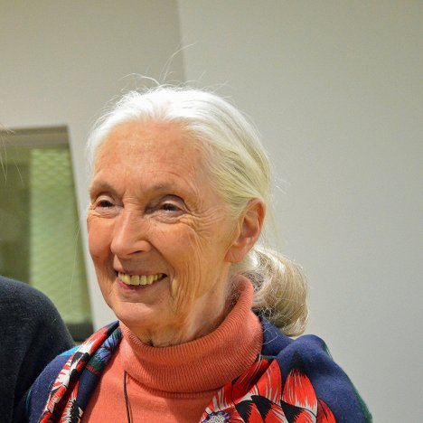 Jane Goodall - Jane New Generation - Photos