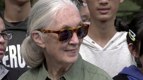 Jane Goodall - Jane New Generation - Film