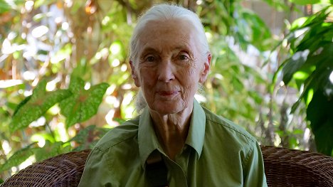 Jane Goodall - Jane New Generation - Photos