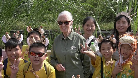 Jane Goodall - Jane Goodallová - nová generace - Z filmu
