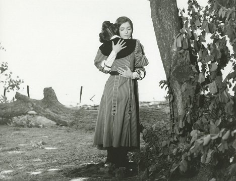 Györgyi Andai - Hangyaboly - De la película