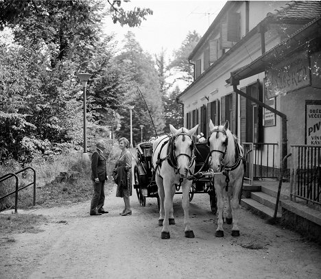 Karel Höger, Blanka Waleská - Ticket to the Memorial - Photos