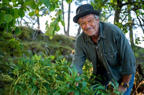 Michael Roll - Álom és szerelem: Inga Lindström - Levelek Svennek - Promóció fotók