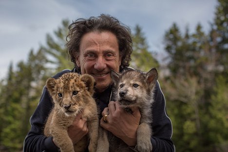 Gilles de Maistre - Le Loup et le lion - De filmagens