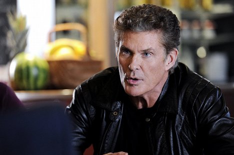 David Hasselhoff - Hoff the Record - Season 1 - Z filmu