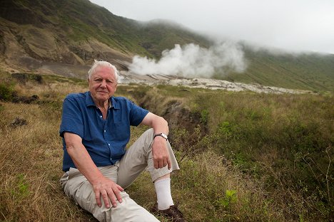David Attenborough - Attenborough - Život v divočině - Z filmu
