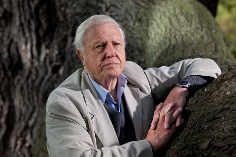 David Attenborough - Attenborough - Život v divočině - Z filmu