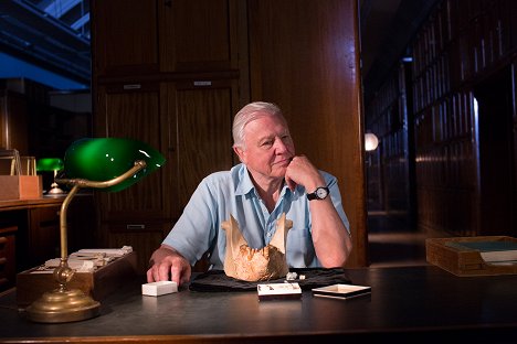 David Attenborough - Attenborough's Journey - Filmfotók