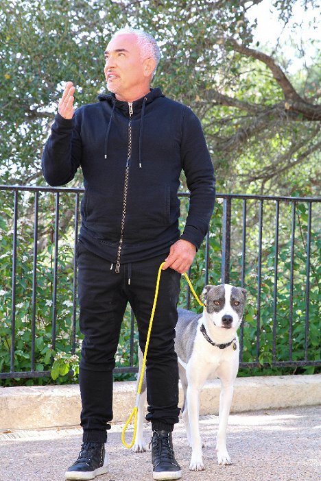 Cesar Millan - Cesar Millan: Better Human Better Dog - Z filmu