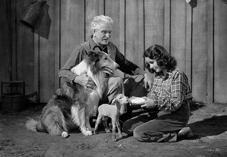 Frank Morgan, Pal, Elizabeth Taylor - Courage of Lassie - Film
