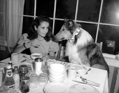Elizabeth Taylor, Pal - Odvážná Lassie - Z filmu