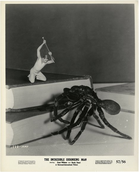 Grant Williams - The Incredible Shrinking Man - Lobby Cards