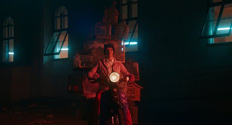 Xiao Sun - My Salinger Year - Van film