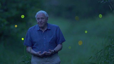 David Attenborough - Attenborough és a természet fényei - Filmfotók