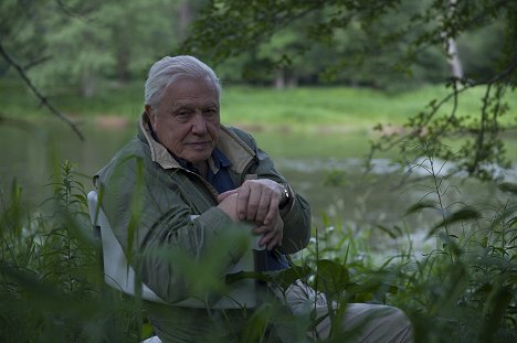 David Attenborough - Attenborough's Life That Glows - Photos