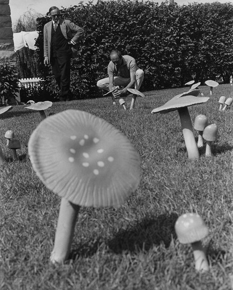 J. Léo Gagnon - Amanita Pestilens - Photos