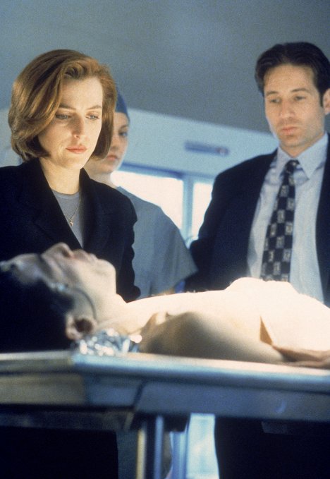 Gillian Anderson, David Duchovny - The X-Files - Synchrony - Photos