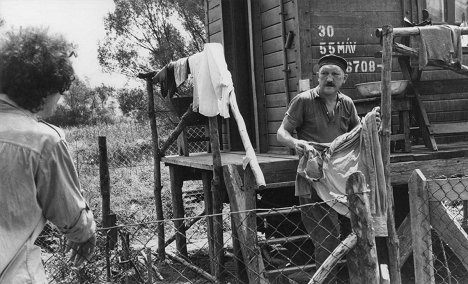 Ferenc Bencze - Do not Lean out of the Window - Photos