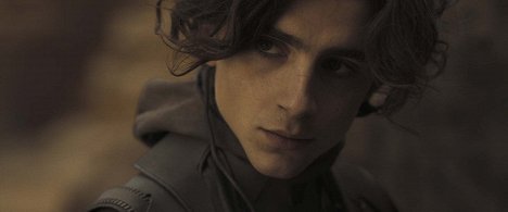 Timothée Chalamet - Dune: Part One - Photos