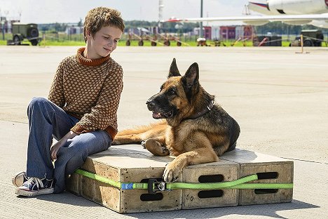 Леонид Басов - Ein Hund namens Palma - Filmfotos