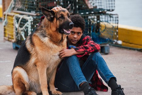 Diesel vom Burgimwald a kutya, Deandray Hamilton - Rex Kanadában - Így kezdődött - Filmfotók