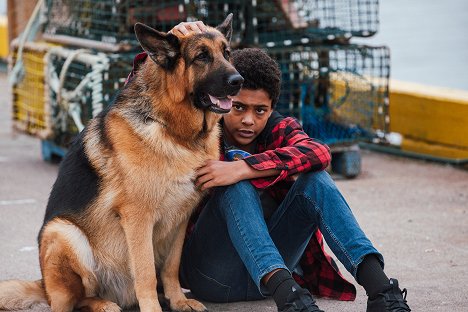 Hund Diesel vom Burgimwald, Deandray Hamilton - Hudson & Rex - Wie alles begann - Filmfotos