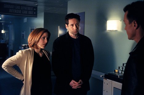 Gillian Anderson, David Duchovny - Akta X - Sám - Z filmu