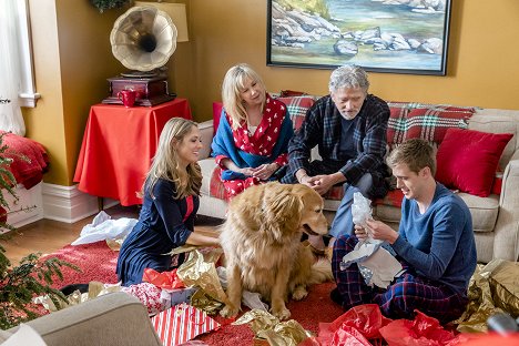 Brooke Nevin, Kathleen Laskey, Patrick Duffy, Dale Whibley - The Christmas Cure - Film
