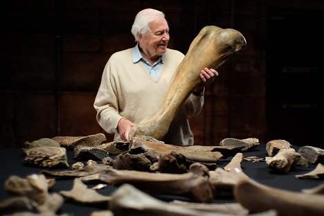 David Attenborough - Attenborough a pohřebiště mamutů - Z filmu