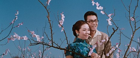 Machiko Kyō, Eiji Funakoshi - La Princesse errante - Film