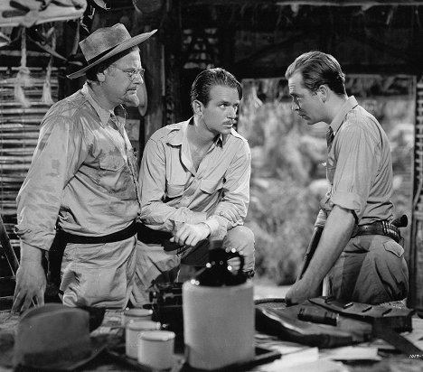 Alan Hale, Douglas Fairbanks Jr., John Howard - Zelené peklo - Z filmu