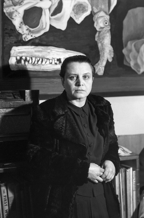 Marie Čermínová - Toyen, The Baroness of Surrealism - Photos