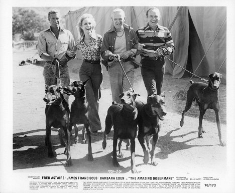 James Franciscus, Barbara Eden, Fred Astaire - The Amazing Dobermans - Lobby Cards
