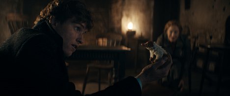 Eddie Redmayne - Animales fantásticos. Los secretos de Dumbledore - De la película