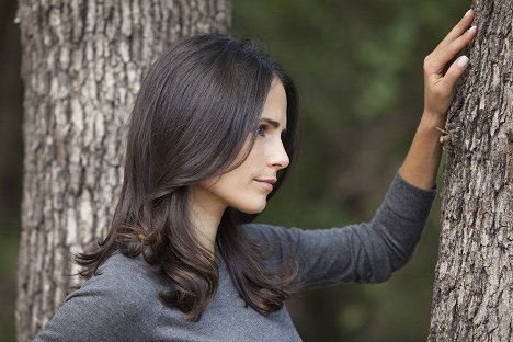 Jordana Brewster - Dallas - The Return - De filmes