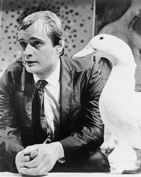 David McCallum - Karate Killers - Photos