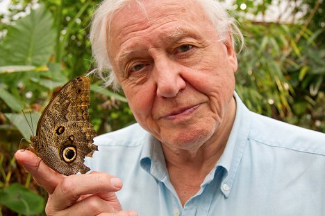 David Attenborough - Curiosités animales - Magical Appearances - Film