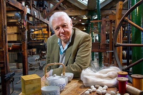 David Attenborough - David Attenborough - A természet csodái - Spinners and Weavers - Filmfotók