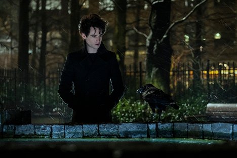 Tom Sturridge - The Sandman - Träum einen Traum von mir - Filmfotos