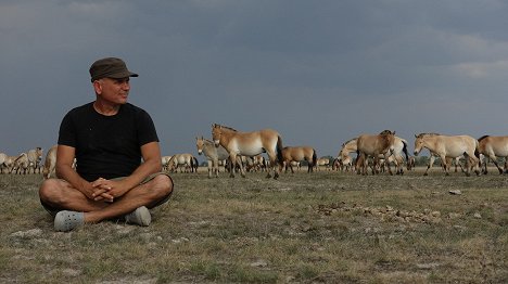 Zoltán Török - Sauvages chevaux de la Puszta : Au cœur des steppes hongroises - Tournage