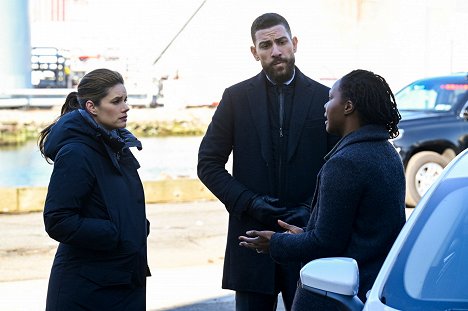 Missy Peregrym, Zeeko Zaki, Sipiwe Moyo - F.B.I. - Fear Nothing - De la película