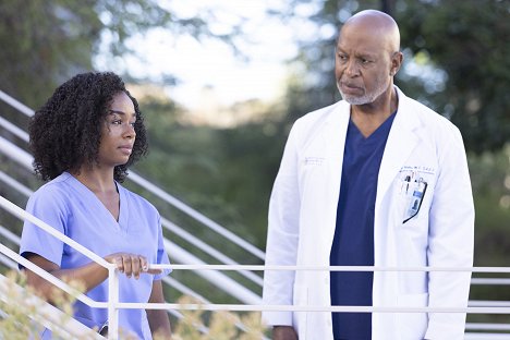 Alexis Floyd, James Pickens Jr. - Grey's Anatomy - Everything Has Changed - Photos