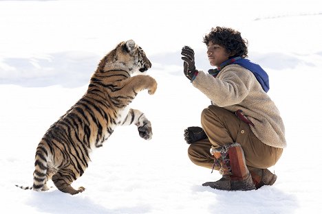 Sunny Pawar - Zachraňte tygra - Z filmu